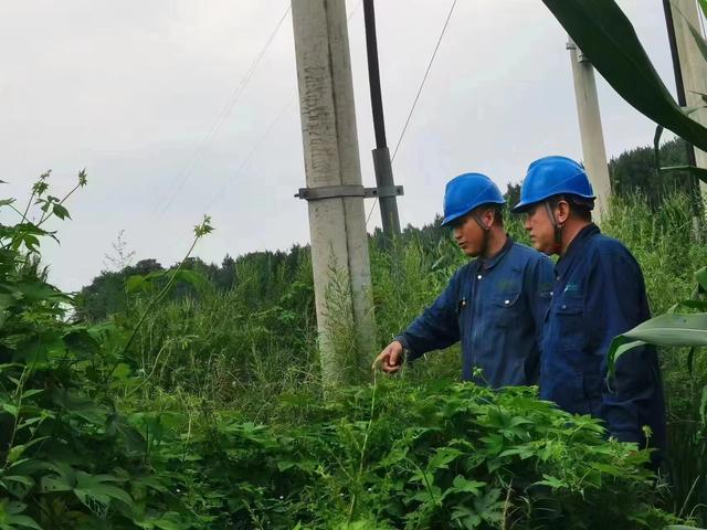 國網(wǎng)長春供電公司積極應(yīng)對極端天氣，確保線路設(shè)備穩(wěn)定運(yùn)行