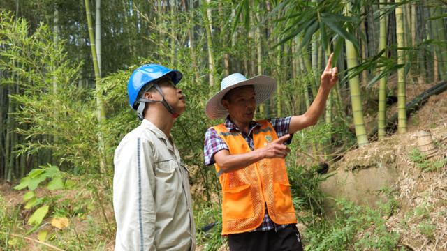 重慶通過(guò)“五定”工作機(jī)制保障電力線(xiàn)路安全運(yùn)行