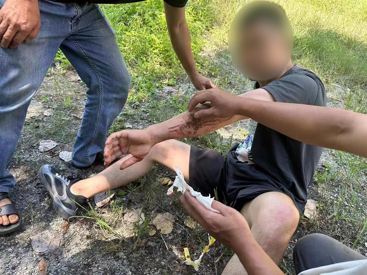 男子私設(shè)電網(wǎng)30余米，沒捕獲獵物卻電傷路人被刑拘