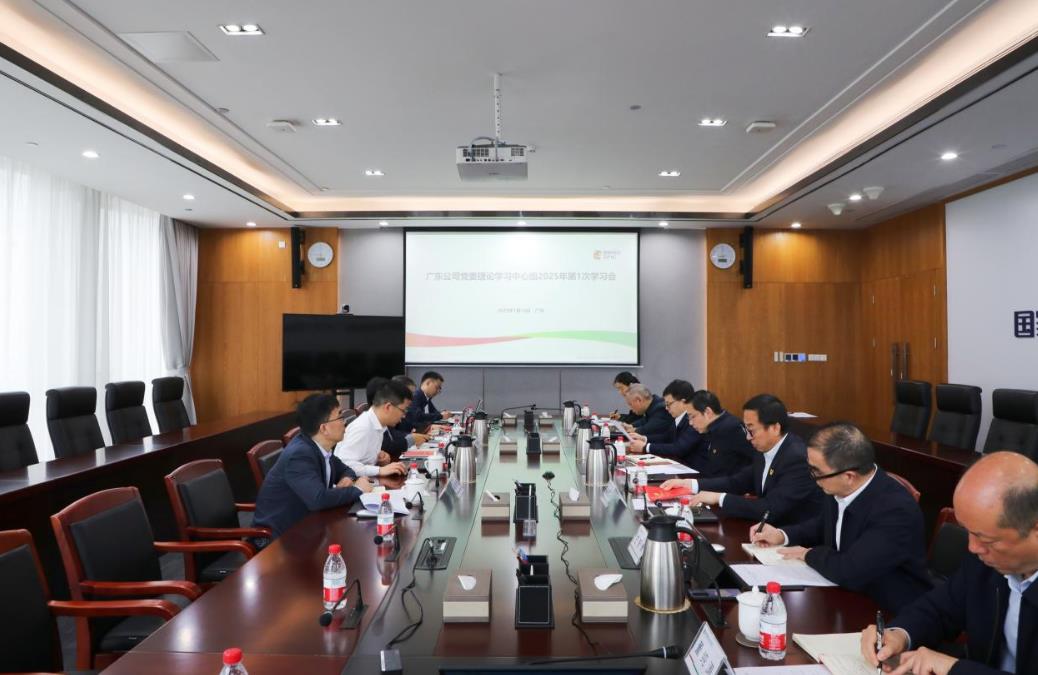 國家電投廣東公司召開黨委理論學(xué)習(xí)中心組2025年第1次學(xué)習(xí)會暨2024年度黨員領(lǐng)導(dǎo)干部民